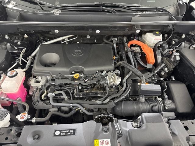 2024 Toyota RAV4 Hybrid Woodland Edition