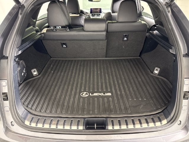 2021 Lexus NX 300 F Sport