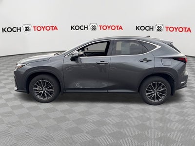2024 Lexus NX 350h Premium