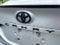 2020 Toyota AWD Camry SE Nightshade