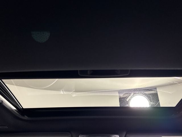 2025 Toyota Sienna Woodland Edition 7 Passenger