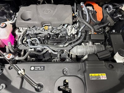 2023 Toyota Sienna XSE 7 Passenger