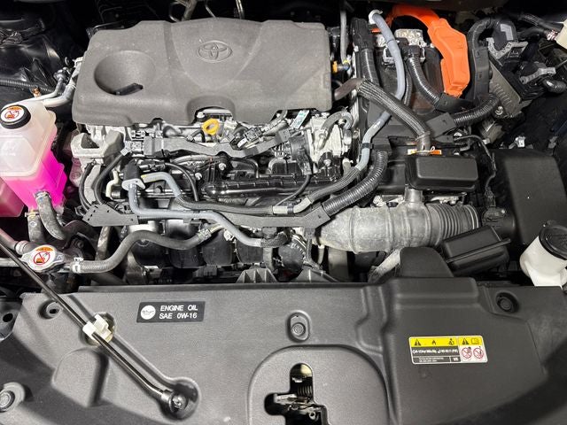 2023 Toyota Sienna XSE 7 Passenger