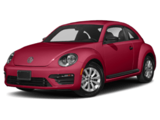 Beetle
